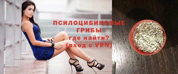 гидра Лагань