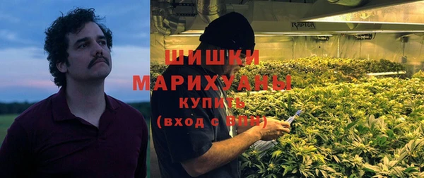 гидра Лагань