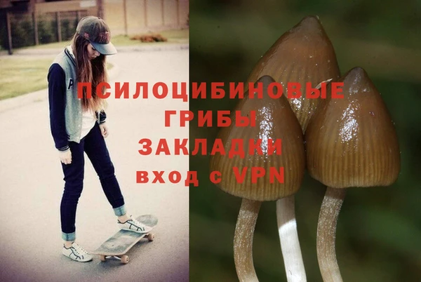 альфа пвп Краснослободск