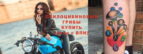 альфа пвп Краснослободск