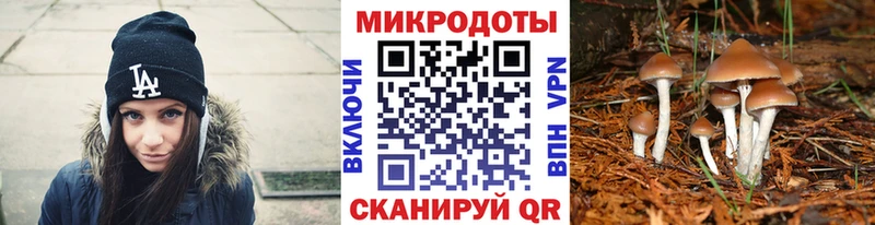 Купить где  Высоцк  Галлюциногенные грибы мухоморы 